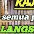 Perkutut Lokal Gacor RAJA PIKAT Ini Ahlinya Bikin Burung Perkutut Gacor Nyaut Seketika