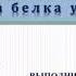 Транскрипция Биосинтез белка Генетический код Постсинтетическая модификация белка