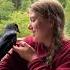 This Couple Rescued A Crow In Distress And Then Adopted It Animalshorts Shortsvideo