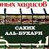 Сахих аль Бухари Хадисы 1 5 Фокус темы НАЧАЛО ОТКРОВЕНИЙ сахих альбухари