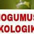 Экогумус фирмаси томондан ишлаб чикарилган сифатли биогумусни самараси Узими уйимдаги узумлар