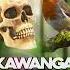 Kawanga Part 2 By Baby Deo Star Official HQ Audio