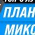 ТОП 5 Лучшие планетарные миксеры Рейтинг 2022 года Какой миксер лучше купить для дома