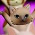 Cat Pen Holder Dances Ievan Polkka Stop Motion Animation