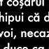 Colea Răutu Coșarul Versuri Cu Negativ