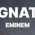 Eminem Gnat Lyrics