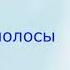 Черные полосы Вадим Зеланд зеланд трансерфинг