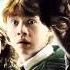 02 Fawkes The Phoenix Harry Potter And The Chamber Of Secrets Soundtrack