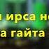 Румиса Никаева Безам тхан Оьшу хьо еза хьо Текст Песни