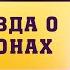 Знак Зодиака Скорпион как их понять Мифы о Скорпионах Взгляд астролога