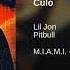 Culo Pitbull Feat Lil Jon HQ AUDIO