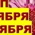 Как АГРОГОРОСКОП с 29 Октября по 02 Ноября 2024 Может Изменить Вашу Жизнь