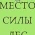 Лес место силы Магия леса как использовать её для исполнения желаний и избавления от одиночества