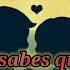 Salsa Baul No Me Llames Amor Con Letras