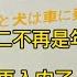 日本店挂牌 中国人不得入内 上海车喷字 日本人与狗不得乘车 亚军歪评 中方获胜