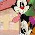 Animaniacs 2020 Opening Comments Blocked By Youtube As Video For Kids