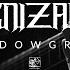 Cognizance Shadowgraph Official Video