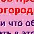 14 октября Покров Пресвятой Богородицы Приметы и запреты дня