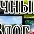 Снова работаем Красим Косим новый газон на даче