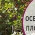 Видео журнал СОФ 133 ОСЕННИЕ подкормки плодовых деревьев СОВЕТЫ от Александра ПЕТРОВА