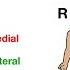 Anatomical Position And Directional Terms Anatomy MADE EASY