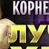 Игорь Корнелюк Лучшие Хиты