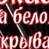 Сладкий сон Сергей Васюта На белом покрывале января кавер на баяне