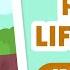 Plant Life Cycle Stages From Seed To Fruit Primary School Science Animation