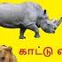 30 க ட ட வ லங க கள Kattu Vilangugal 30 Tamil Wild Animals Name Video For Kids Adipadai Tamil