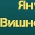 Януш Леон Вишневский Одиночество в сети Возвращение к началу