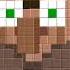 Minecraft Villager Saying What The Hell