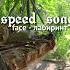 Face лабиринт Speed Song