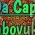 Da Capo Umbovukazi