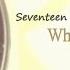 Seventeen 어른이되면 When I Grow Up