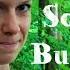 Vanessa Solotour Sommerbushcraft Waldlager Wildpflanzen Baden Im Bach Vanessa Blank