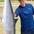 Big King Mackerel Catch Clean And Cook