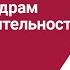 Приказы по кадрам и основной деятельности в компании Боровкова Елена Алексеевна РУНО