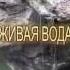 ЖИВАЯ ВОДА в исполнении Софии Фисенко монтаж Тимофеев В П