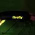 The Science Behind Fireflies Lighting Up Fireflyfacts