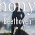 Beethoven Symphony No 5 First Movement