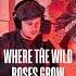 Hiltunen Where The Wild Roses Grow Acoustic Cover