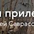 Алексей Саврасов Грачи прилетели История одного шедевра