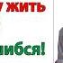 Чемоданы в зубы и валите со свекровью в свою конуру Она тебе и жену подберет и задницу подотрет