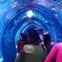 Underwater Tunnel Aquarium In K R Puram Bangalore Fish Aquarium