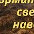 Можно ли кормить червей свежим навозом или надо навоз готовить перед скармливанием червю