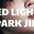 RED LIGHTS STRAY KIDS AI PARK JIMIN Moonlight Kpop