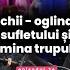 Ochii Oglinda Sufletului și Lumina Trupului Ceahlăul Podcast Episodul 24 Dr Cristina Ghindea