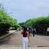 Sula Vineyard Weekend Trip To Sula Vineyard Nashik Sulavineyards Travelfitnancy