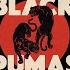 Black Pumas Colors Official Audio