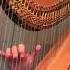 Tchaikovsky Panorama From Sleeping Beauty Arranged For Harp